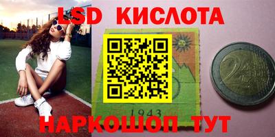 крисы Чебаркуль